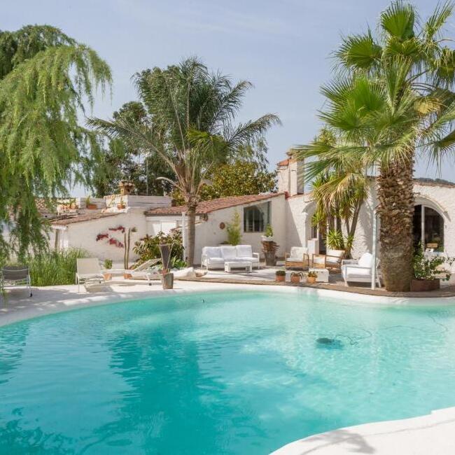 473431391 (1)